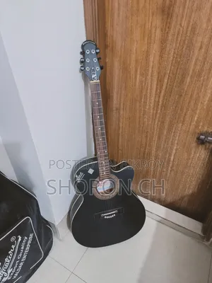 Signature Guiter