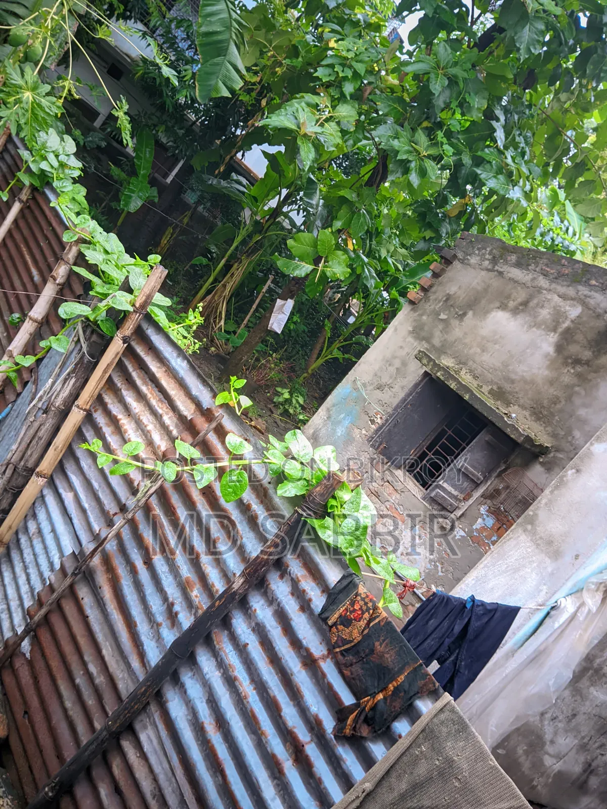 ১ কাঠা জমি বিক্রয় করা হবে