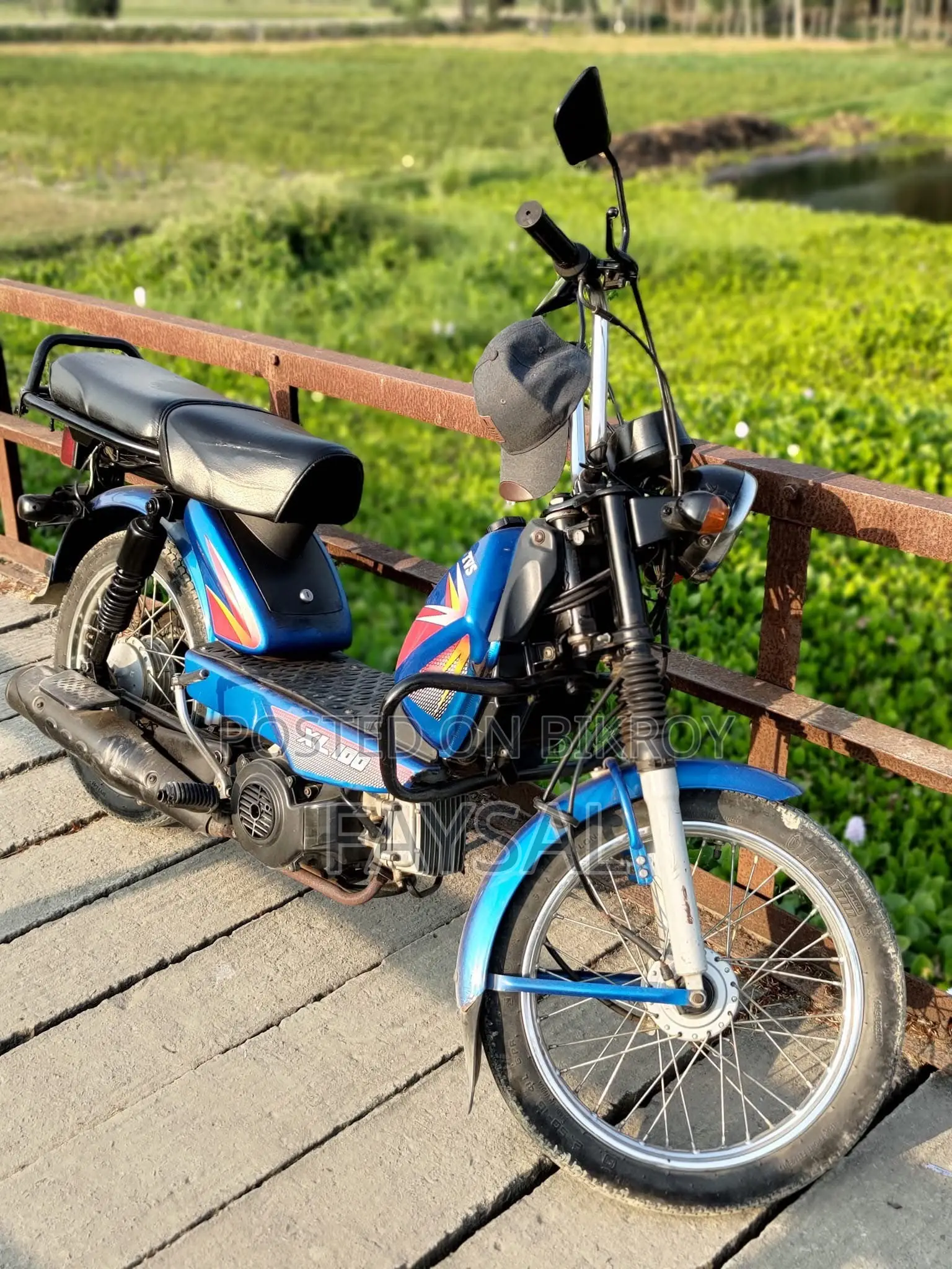 TVS XL 100 2019 Blue