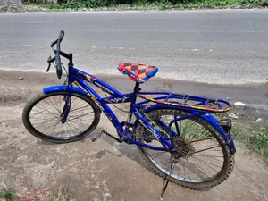 বাই সাইকেল