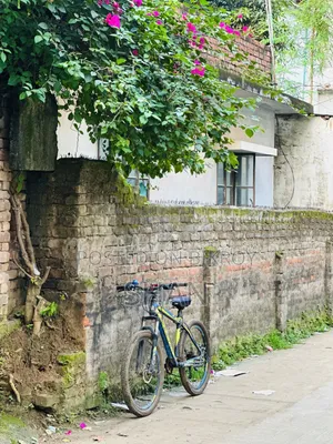 ফিনিক্স সাইকেল
