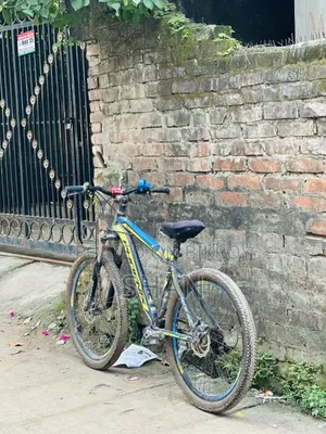 ফিনিক্স সাইকেল