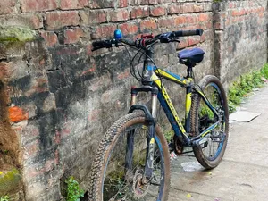 ফিনিক্স সাইকেল
