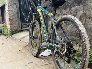 ফিনিক্স সাইকেল