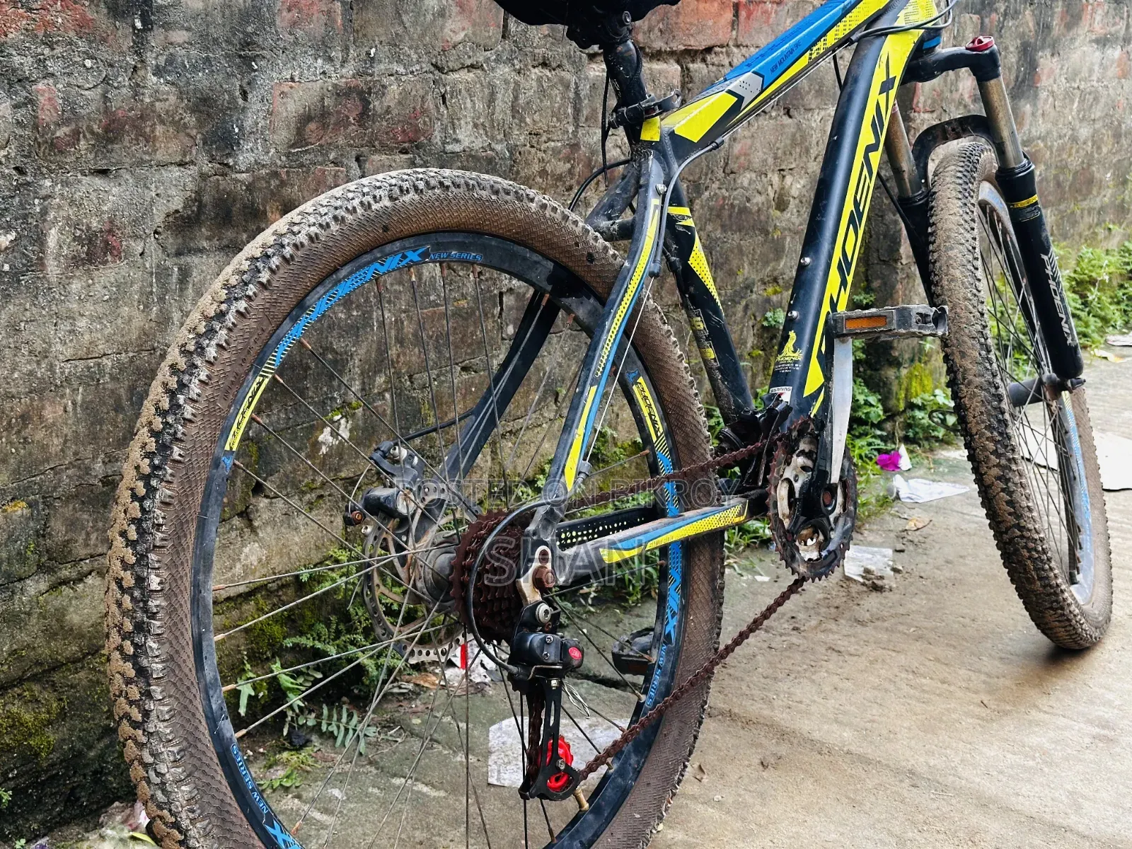 ফিনিক্স সাইকেল