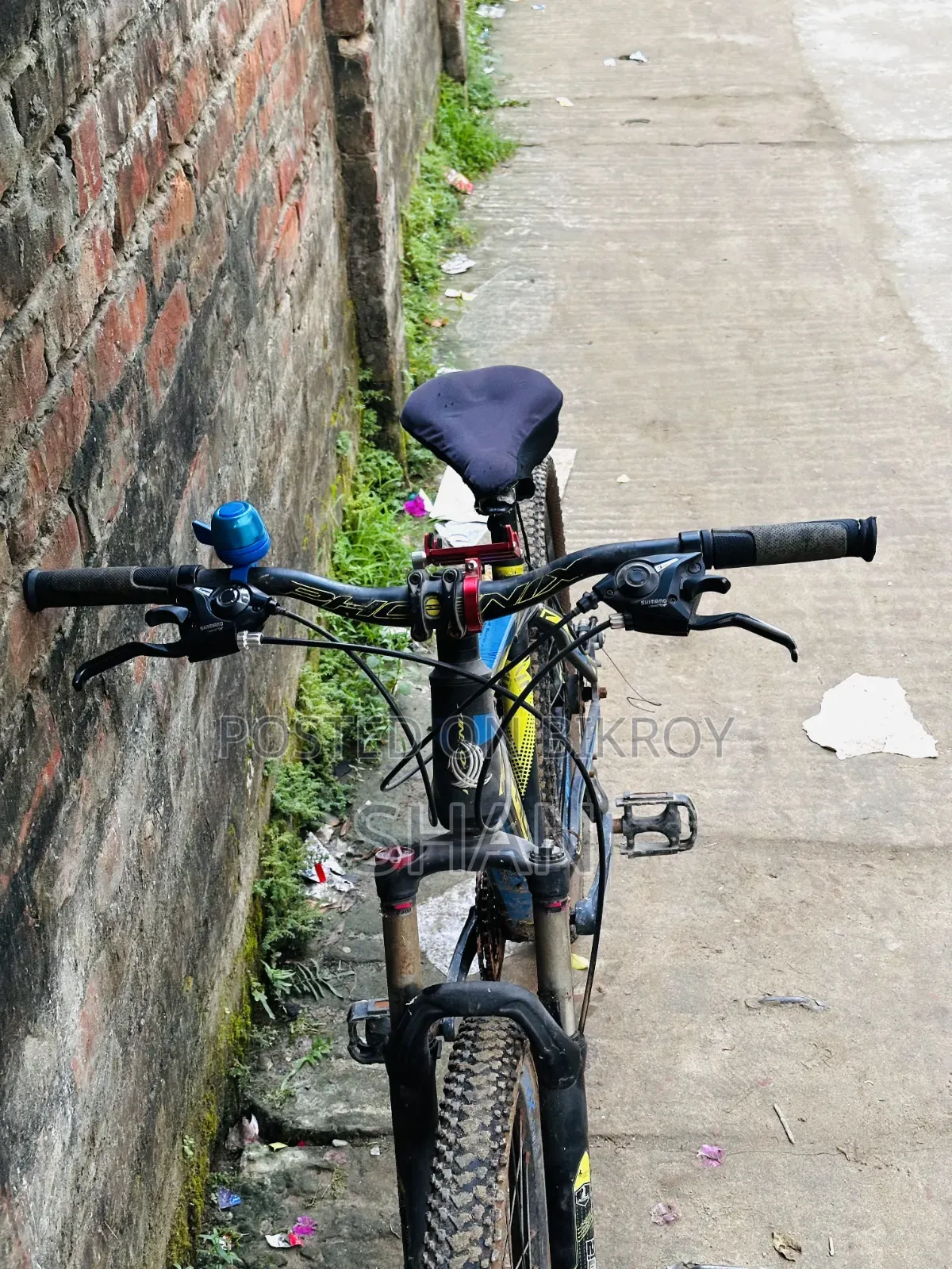 ফিনিক্স সাইকেল