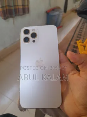 Apple iPhone 12 Pro Max 256 GB Gold