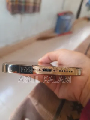 Apple iPhone 12 Pro Max 256 GB Gold