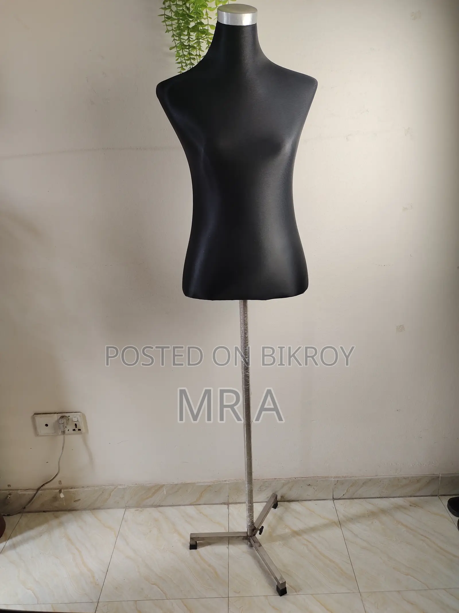 Display Doll