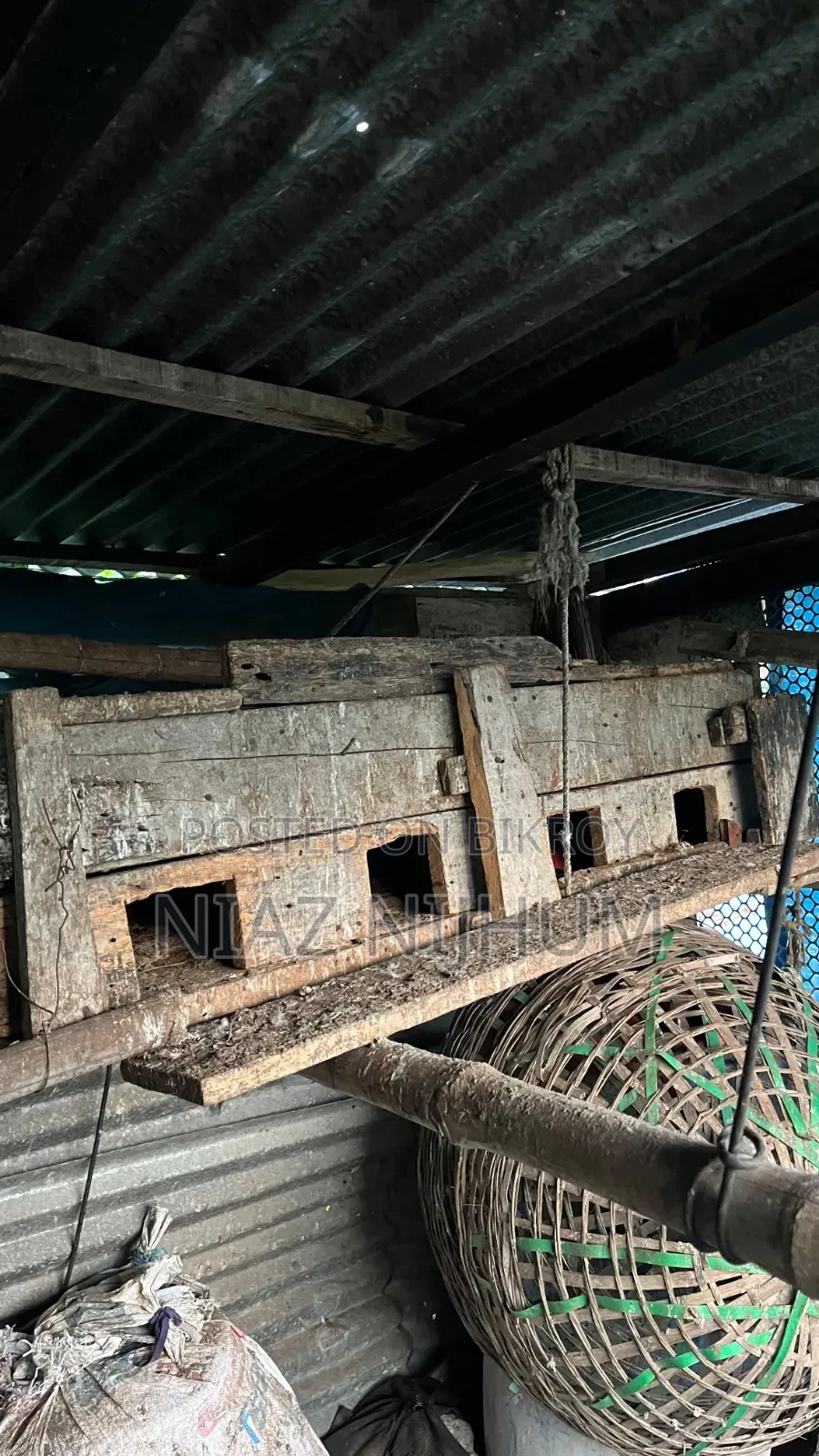 কবুতরের খোপ ফর সেল