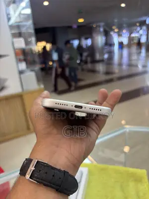 Apple iPhone 17 Pro Max 256 GB Silver