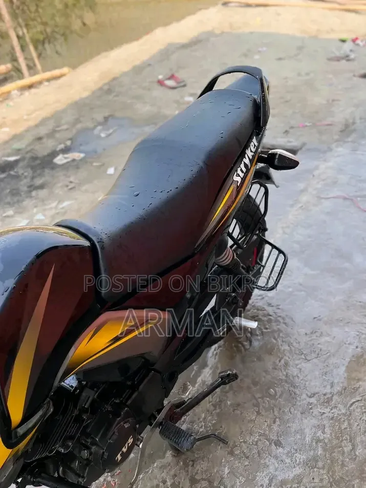 New Aprilia CAFE 2026 Yellow