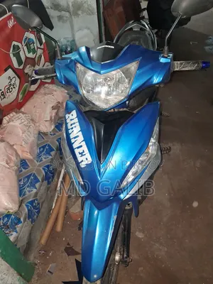 Runner Kite + 110 2019 Blue