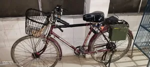 Electric Cycle