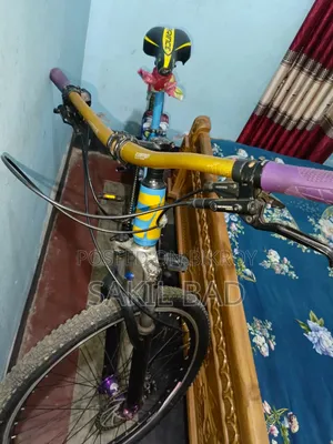 ইস্টার্ন সাইকেল বিক্রয় করা হবে