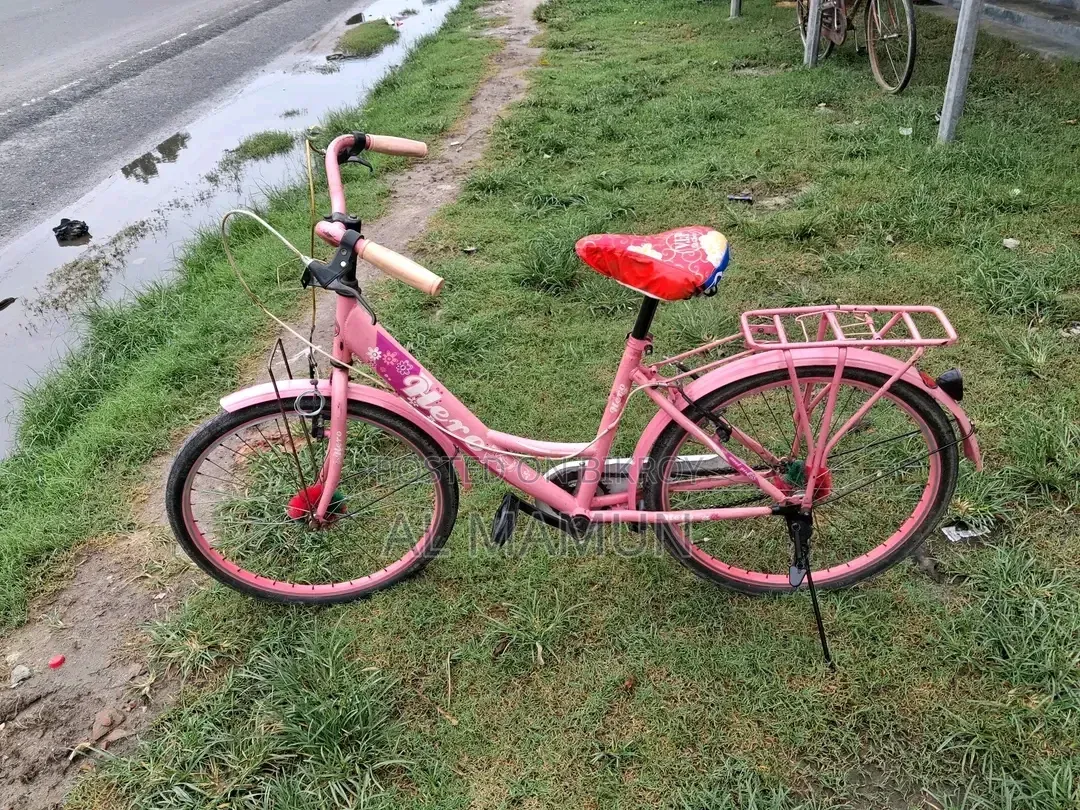 Ladies Bicycle 24 Size