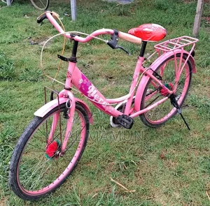 Ladies Bicycle 24 Size