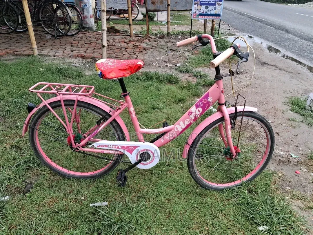 Ladies Bicycle 24 Size