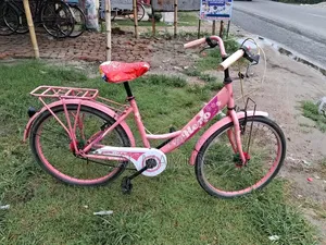 Ladies Bicycle 24 Size