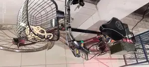 Electric Cycle