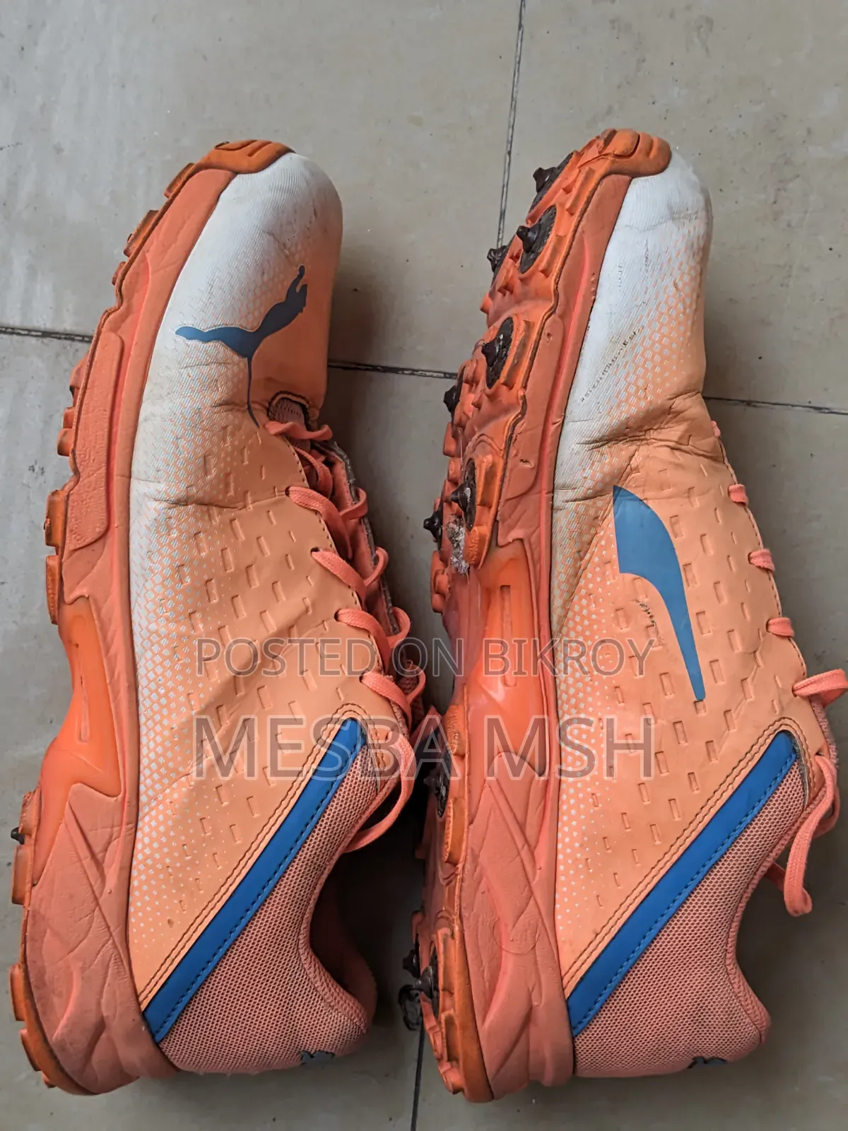 PUMA Spike 22.2 Cricket Shoes