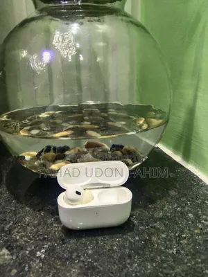 Apple Airpods Pro 2nd Generation (Only Left Bud and Case Available)
