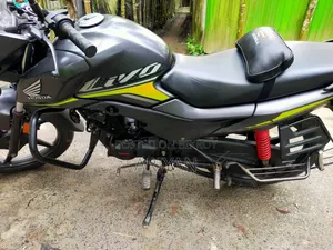 Honda Livo 2019 Gray