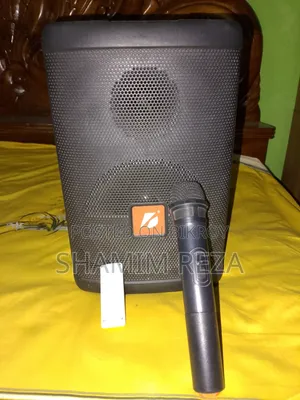 কারাওকে স্পিকার