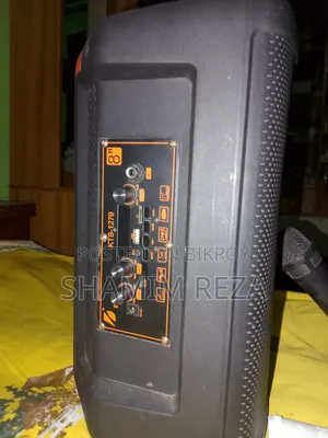 কারাওকে স্পিকার
