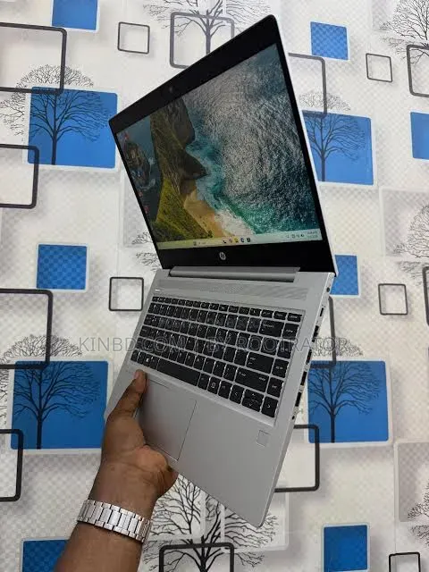 Laptop HP ProBook 445 G7 8GB AMD Ryzen 5 SSD 256GB