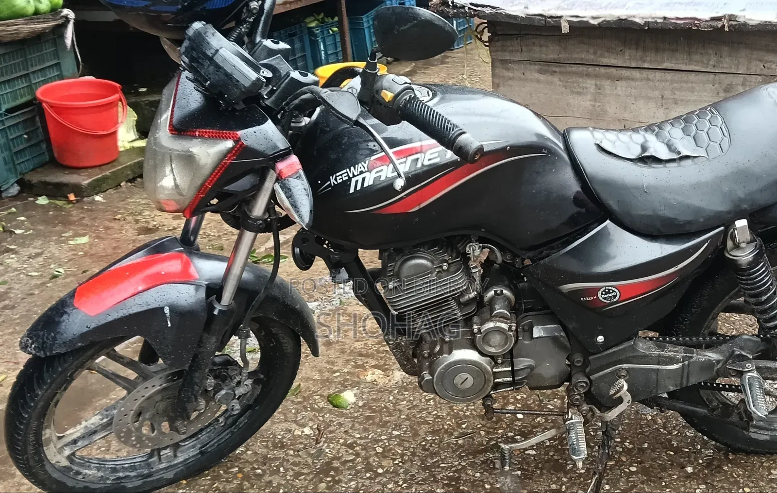 Benelli 2018 Pink