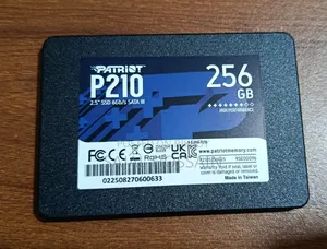 Patriot P210 256gb 2.5 Inch Sata Iii SSD