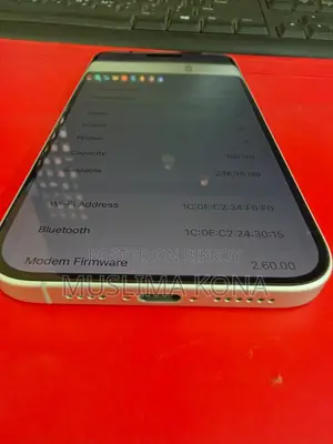 Apple iPhone 16 Plus 256 GB White