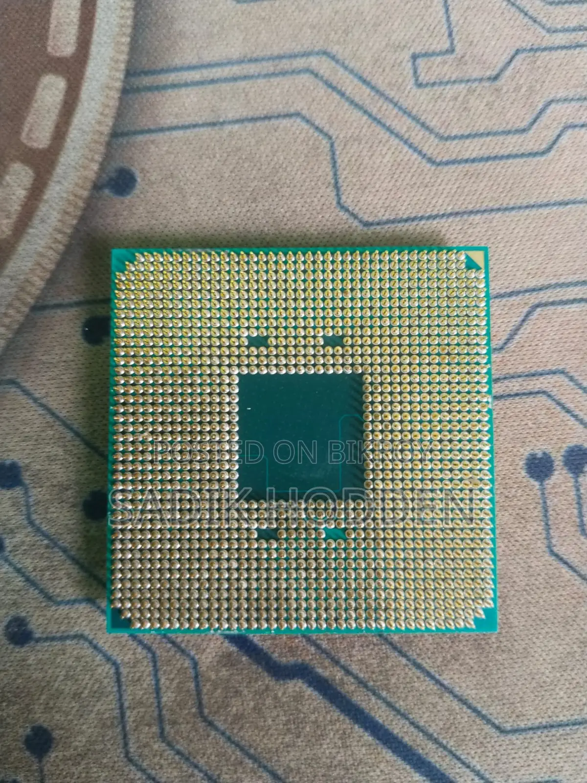 AMD Processor