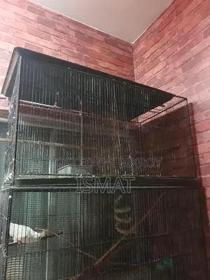 Cage খাঁচা