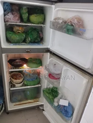 LG Brand Fridge