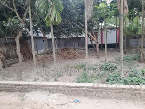 টাকার প্রয়োজন