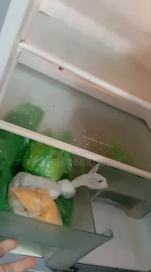 ECO+ Refrigerator | Model: DD2-27.1 | ফ্রিজ বিক্রি হবে