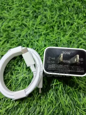 Google 30w Original Charger