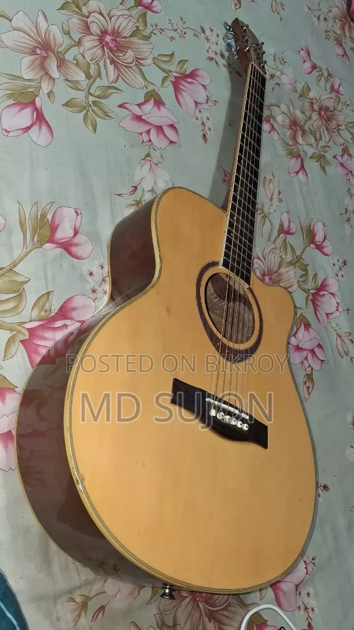 The Rose TR-71A-40 Guiter