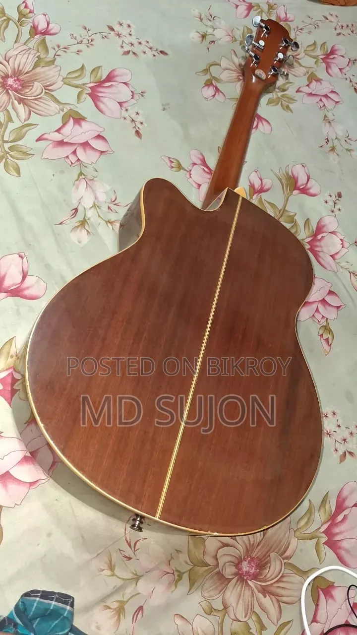 The Rose TR-71A-40 Guiter