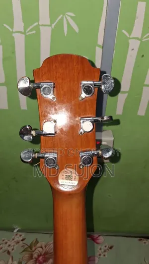 The Rose TR-71A-40 Guiter