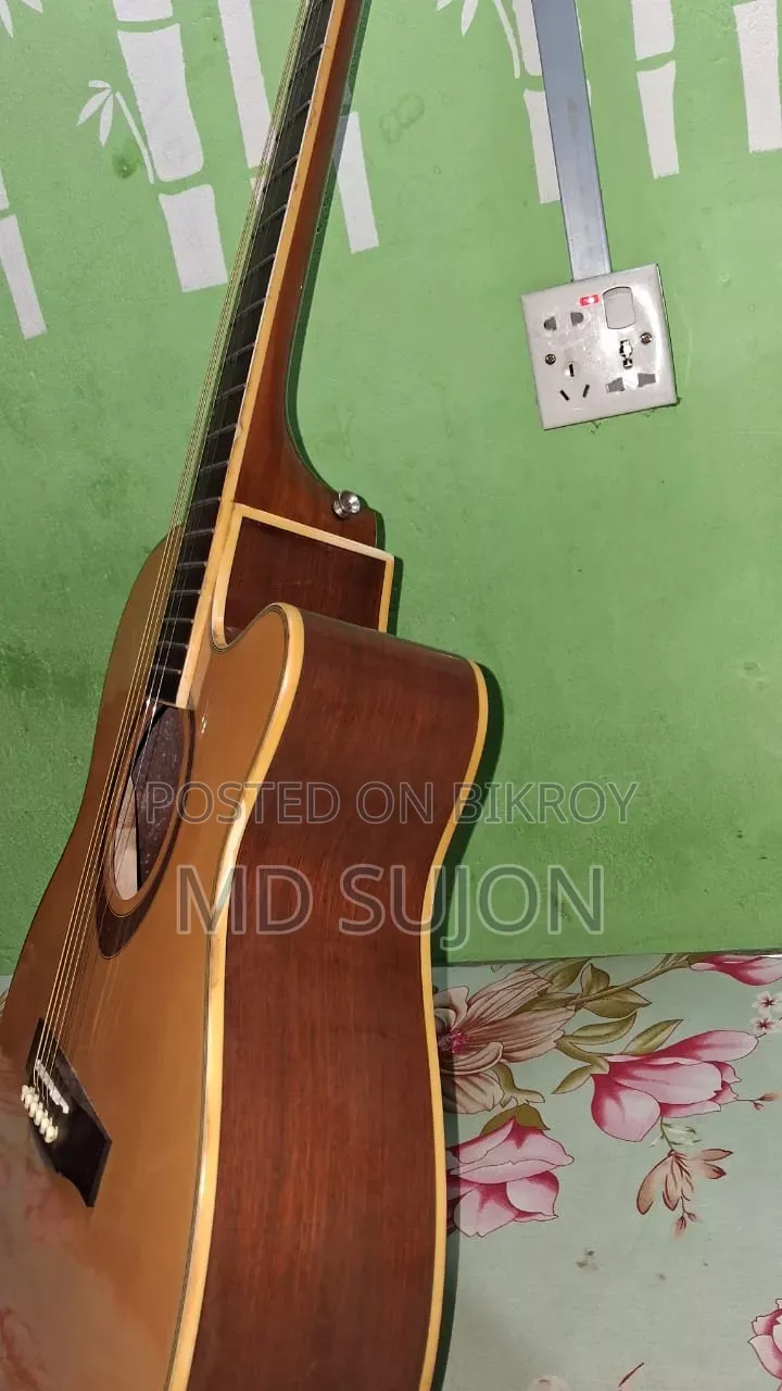 The Rose TR-71A-40 Guiter