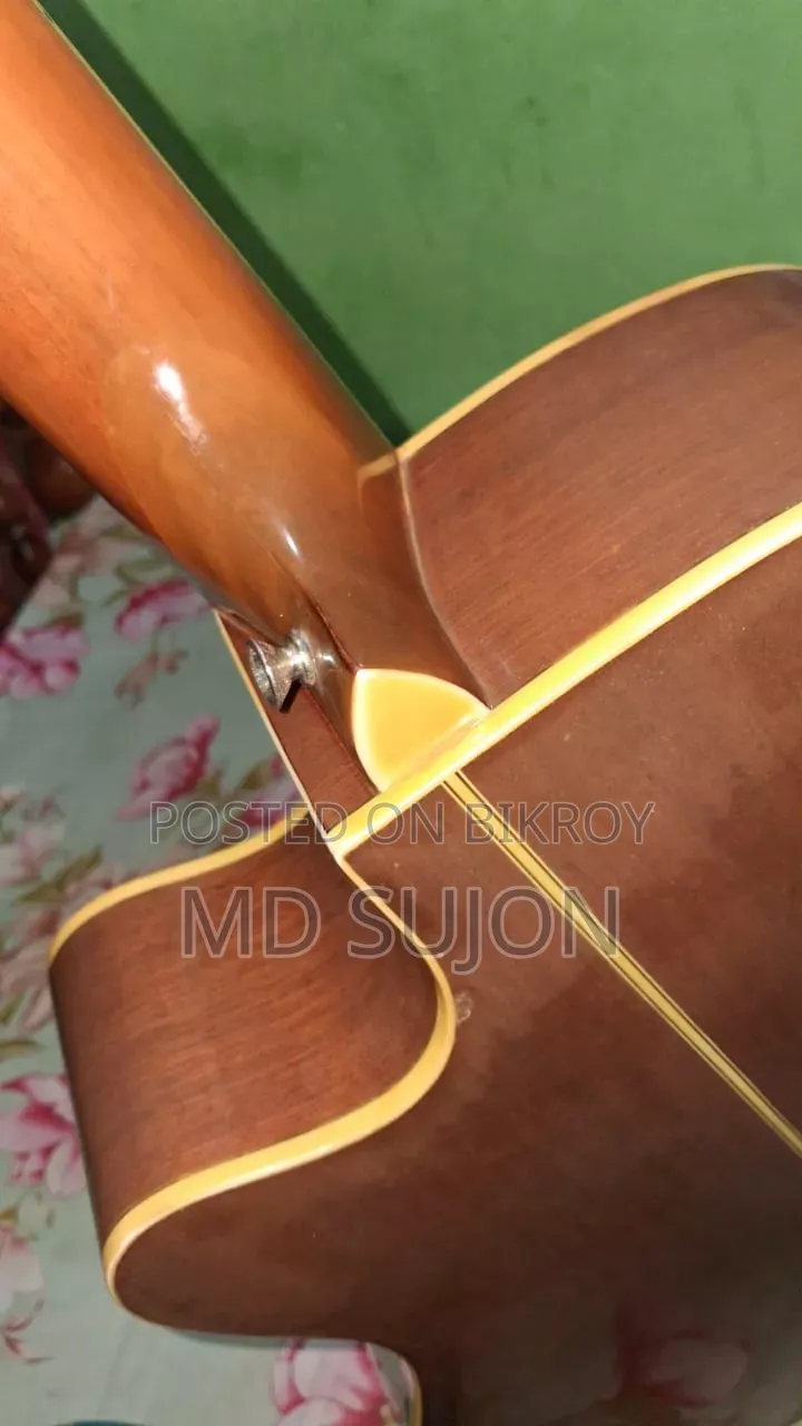 The Rose TR-71A-40 Guiter