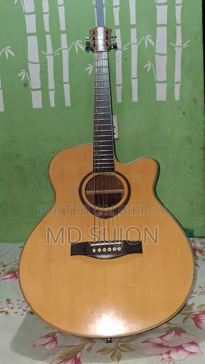 The Rose TR-71A-40 Guiter