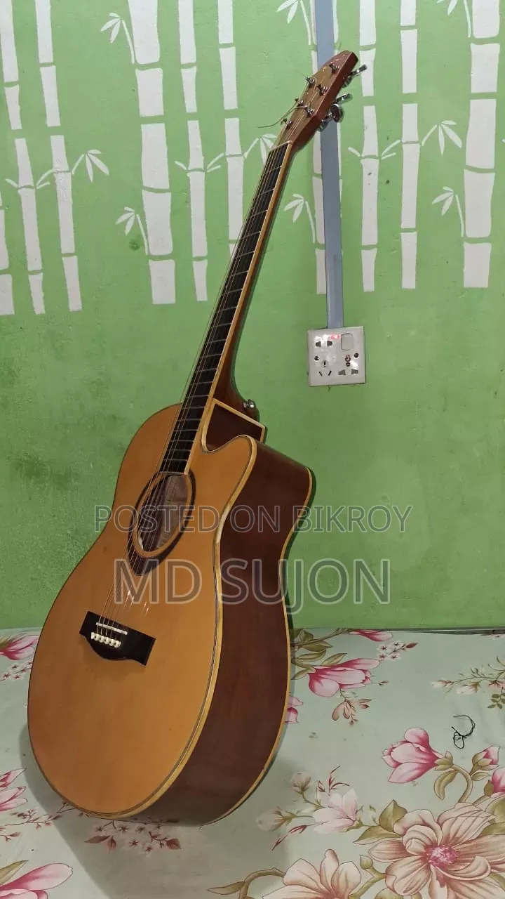 The Rose TR-71A-40 Guiter