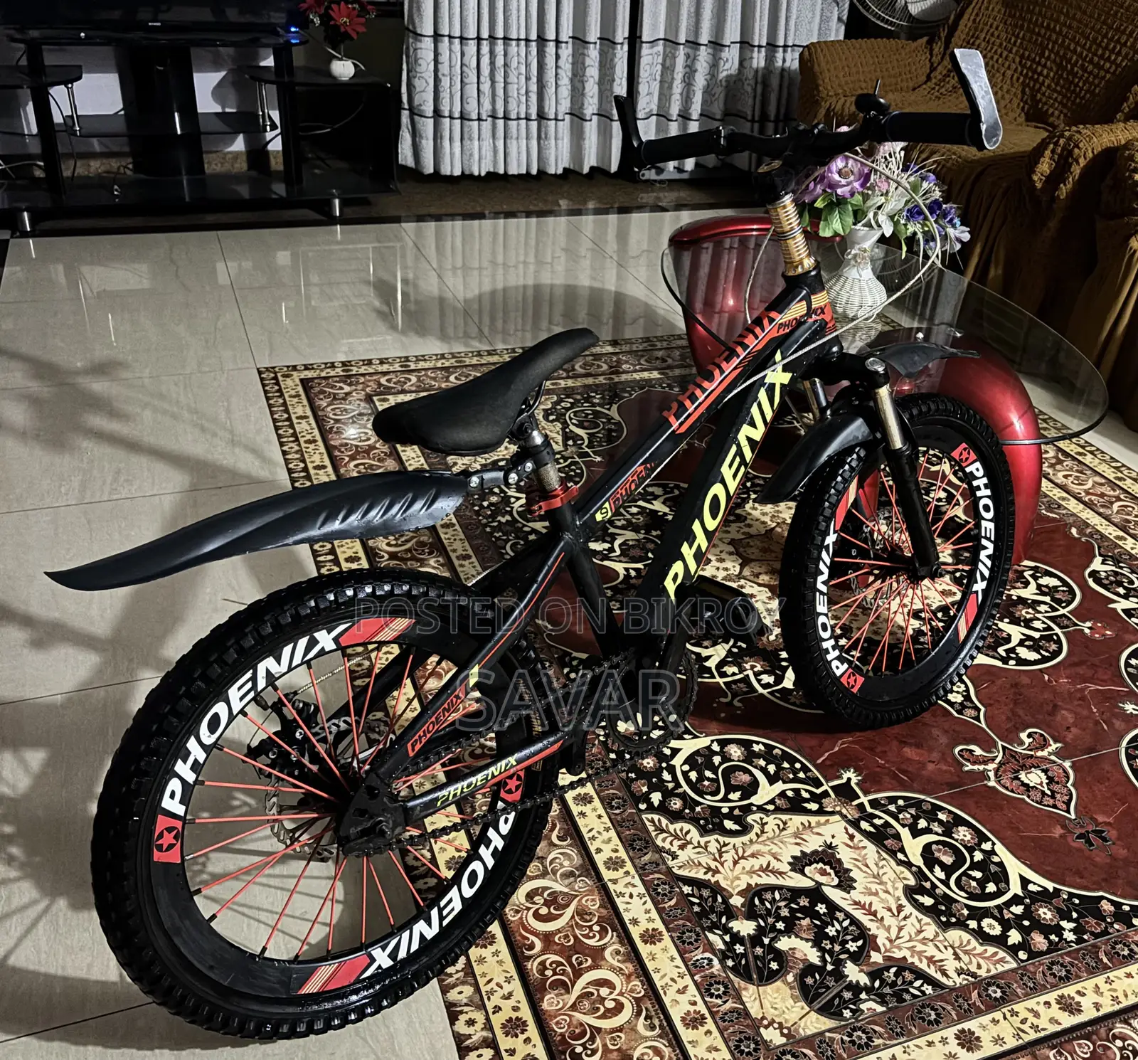 Phoenix Mountain 20" Bicycle (Dual Disc Brakes) – Fresh Condition