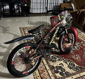 Phoenix Mountain 20" Bicycle (Dual Disc Brakes) – Fresh Condition