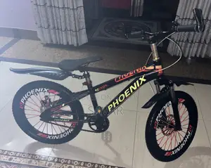 Phoenix Mountain 20" Bicycle (Dual Disc Brakes) – Fresh Condition