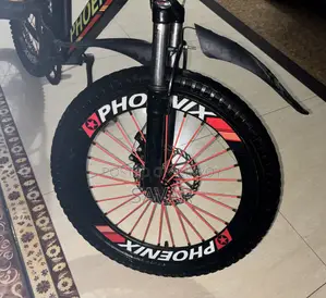 Phoenix Mountain 20" Bicycle (Dual Disc Brakes) – Fresh Condition